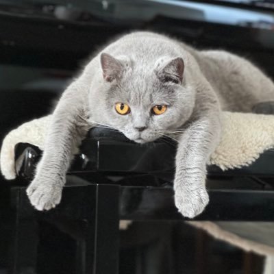 Аватар «Angry expat» [из твиттера](https://x.com/angryexpat)